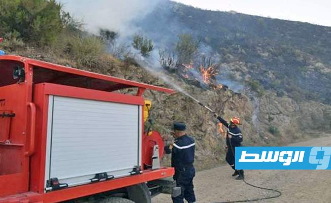 الجزائر: الدفاع المدني يعلن «السيطرة الكاملة» على الحرائق