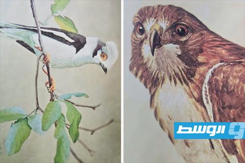 «لويس أغاسيز فورتيز والجمال الفريد للطيور»
